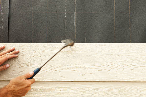 Best Insulated Siding Installation  in Lovettsville, VA